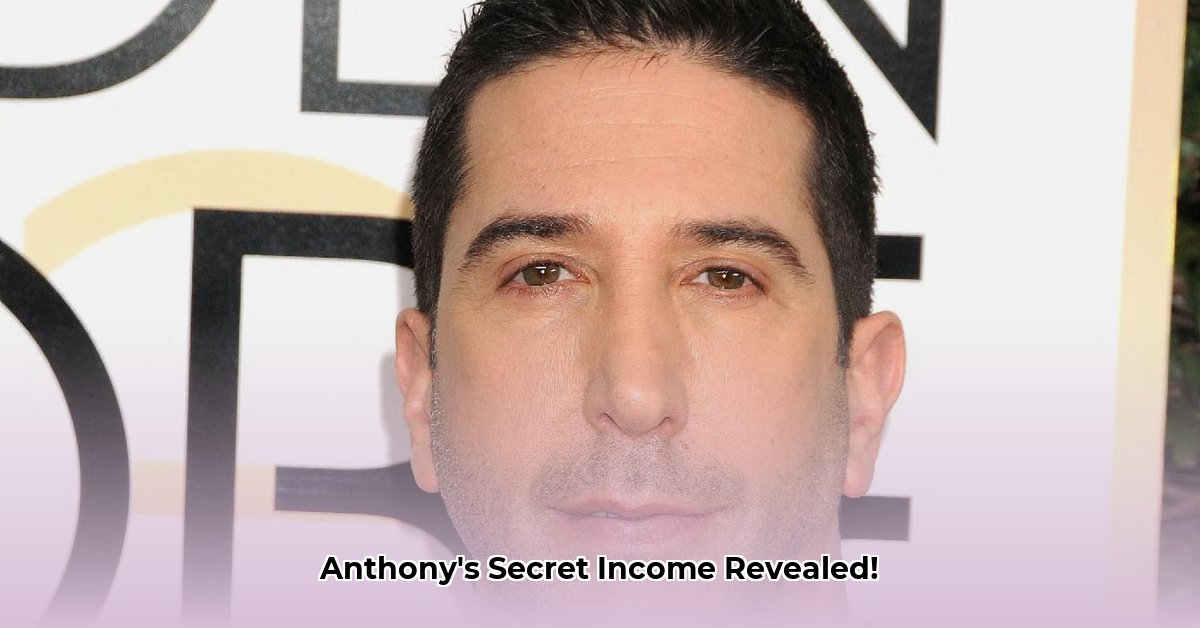 nobody-cares-anthony-net-worth